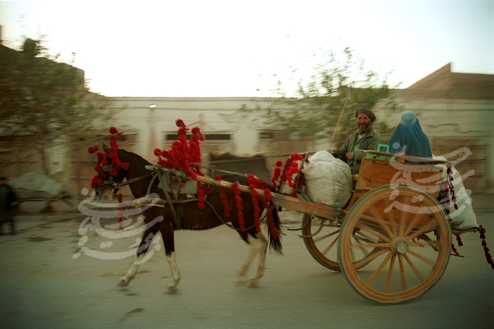 public taxi in Herat, Afghanistan: a man steering a horse carriage